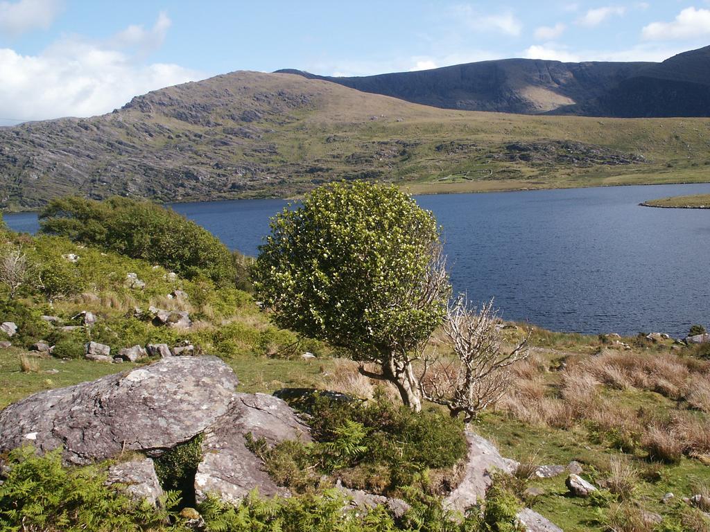 Bru Na Dromoda/Dromid Hostel Killeenleagh Bridge Luaran gambar